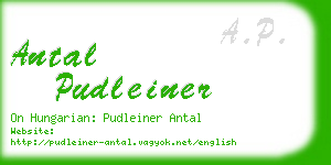 antal pudleiner business card